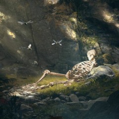 Skeletons