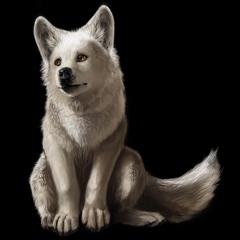 Who They Talkin Bout