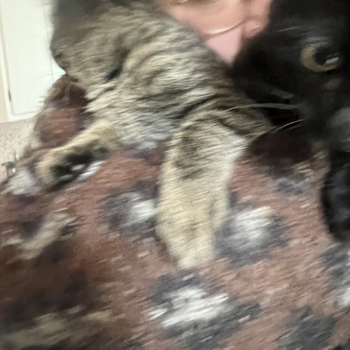 When i'm ready (demo)