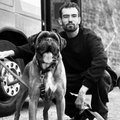 Vinylbus Podcast / Schlaraffel / 29.03.2025