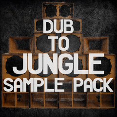Dub To Jungle Sample Pack Demo