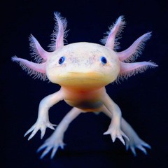 Axolotl Techno