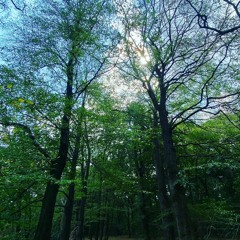Roel.Funcken.Mixlr.Ambient.6th.of.August.2020