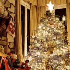 Stacey squires- I wish it could be Christmas everyday cover