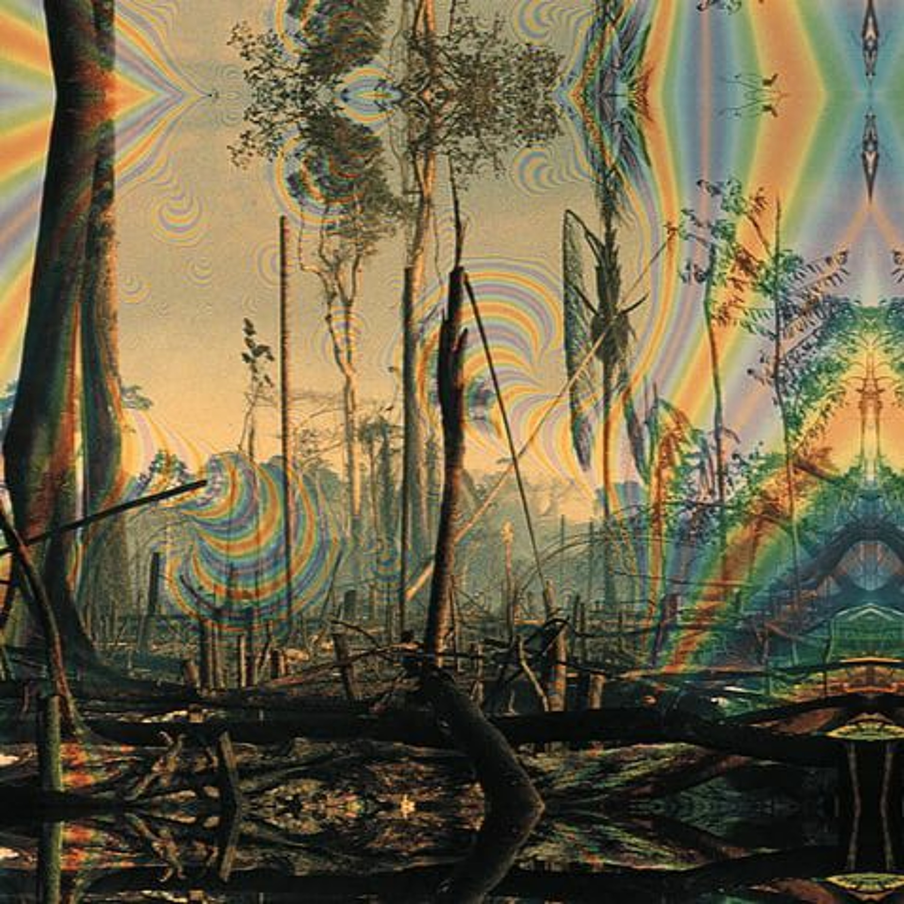 Mozzy Rekorder Presents NATURE 12 episode artwork