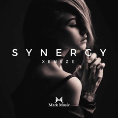 XENEZE - Synergy