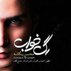 محسن یگانه -  ضربان معکوس