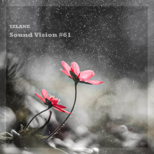 Sound Vision #61