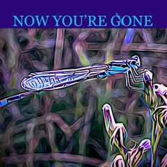 Now You're Gone