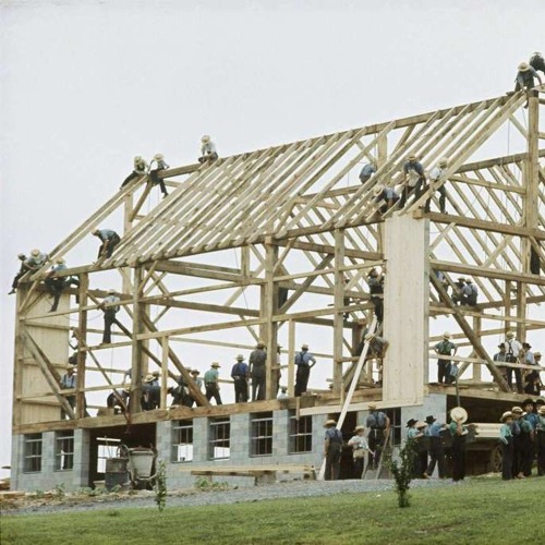 Take me home - Mike Park