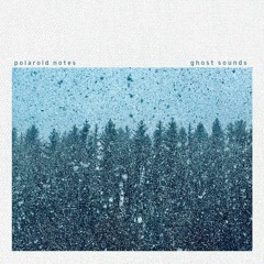 Polaroid Notes - Snippets of Ghost Sounds (Album)