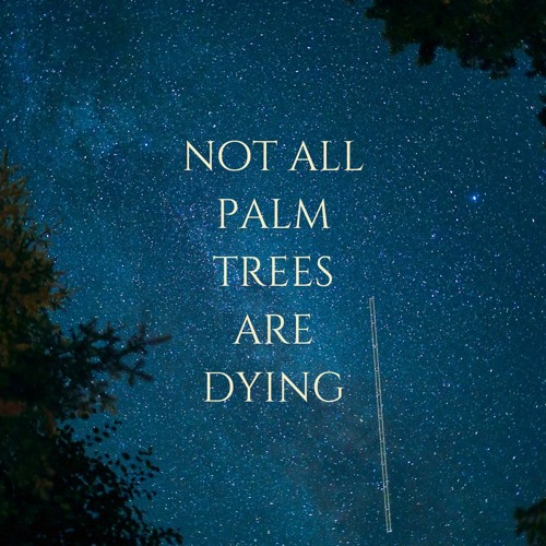 Stream Not All Palm Trees Are Dying by Milosz Siebert Listen online