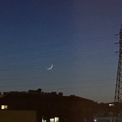as noites quietas de verão