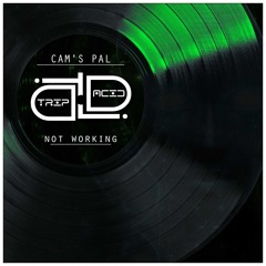 Cam's Pal - Barl (Radio Edit)