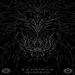 Possessed By Behemoth Preview