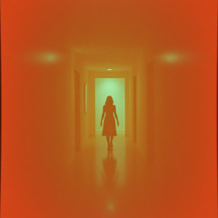 Shadowskip