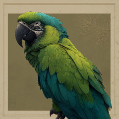 Back injury at a traditional scaffolder