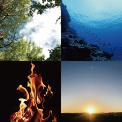 4 elements