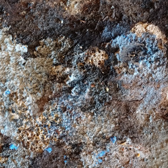 JMYMX158 Nowhere World