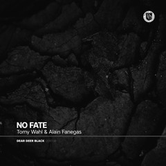 Tomy Wahl & Alain Fanegas - No Fate (Original Mix)