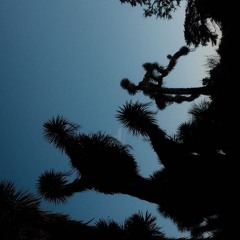 Test Pressing 070226