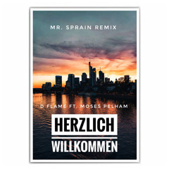 D Flame ft. Moses Pelham - Herzlich Willkommen (Mr. Sprain FFM Remix)