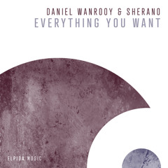 Everything You Want (Extended Mix)