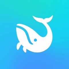 ERC 20