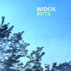 Widok