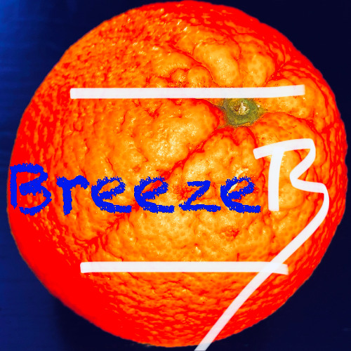 Breeze B