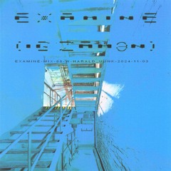 examine-mix-88-w-harald_uunk-2024-11-03