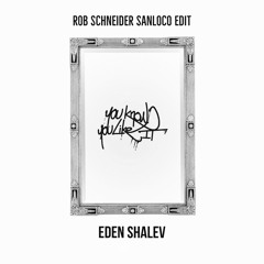 AlunaGeorge x Eden Shalev - Papi x You Know You Like It (Rob Schneider & San Loco Edit)