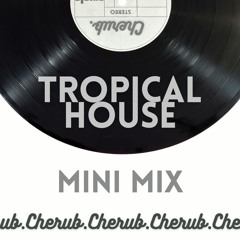 Trop-House Mix - Cherub Connections