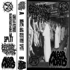 “acid trip gone wrong” single for split with brains4shit