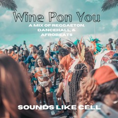 Wine Pon You (Reggaeton-Dancehall-Afrobeat Mix)