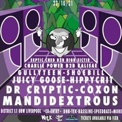 Hippycrit - Pure Beltaz DnB / Tek Promo Mix