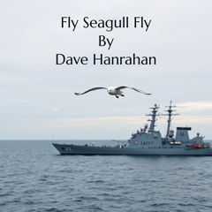Fly Seagull Fly By Dave Hanrahan (Mastered)
