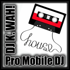 Stuck In The House (Classic House Music Mix)