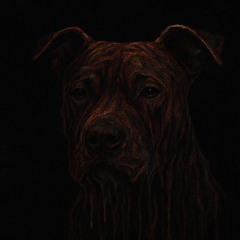 LEAL - CACHORRADA (remix)