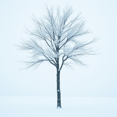 Winter mimes loneliness-Version 1-by- Matthew F. Blowers III