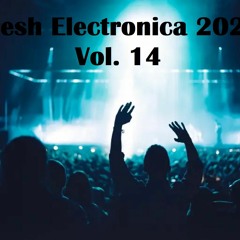 Fresh Electronica 2023 - Vol. 14