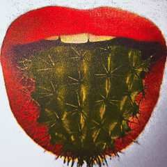 on the tip of your tongue