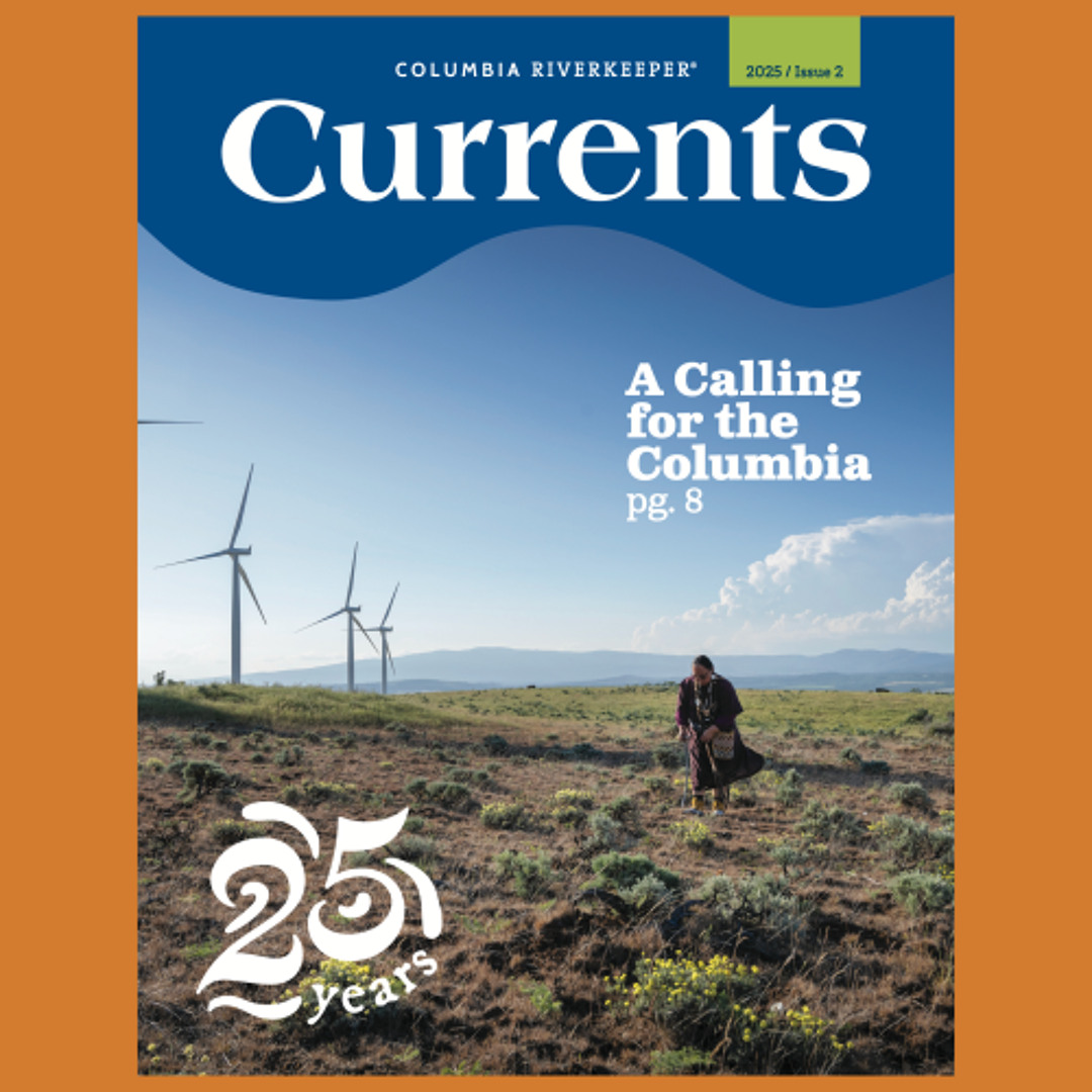 Stream episode Currents 2025, Issue 1, pages 2-3 Director's Letter by ...