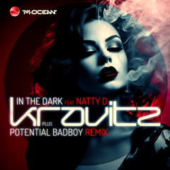 In The Dark (Potential Badboy Remix) [feat. Natty D]