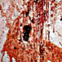 prolonged isolation (prod. puke)