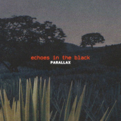 Echoes In the Black
