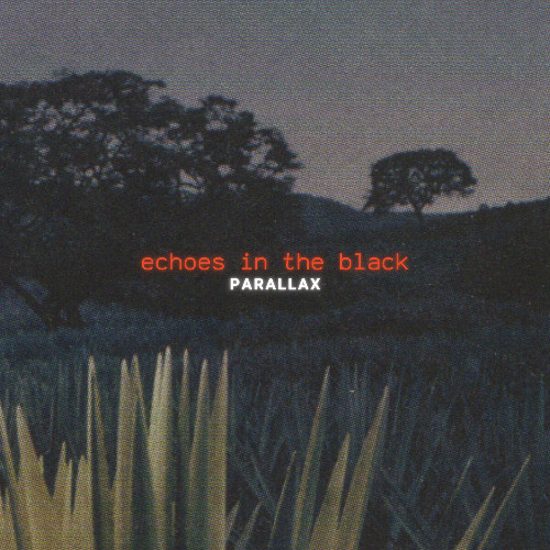 Echoes In the Black