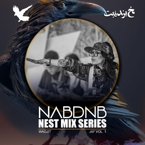NAB DNB Nest Mix Series [Wadjit] - Vol 1