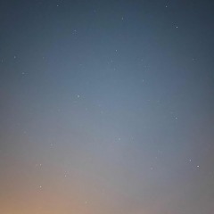 Scarlet Nights