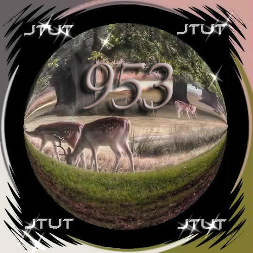 Journeys Through Uplifting Trance 953